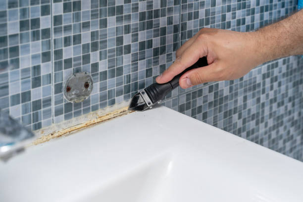 Best Emergency Mold Removal  in Dilworthtown, PA